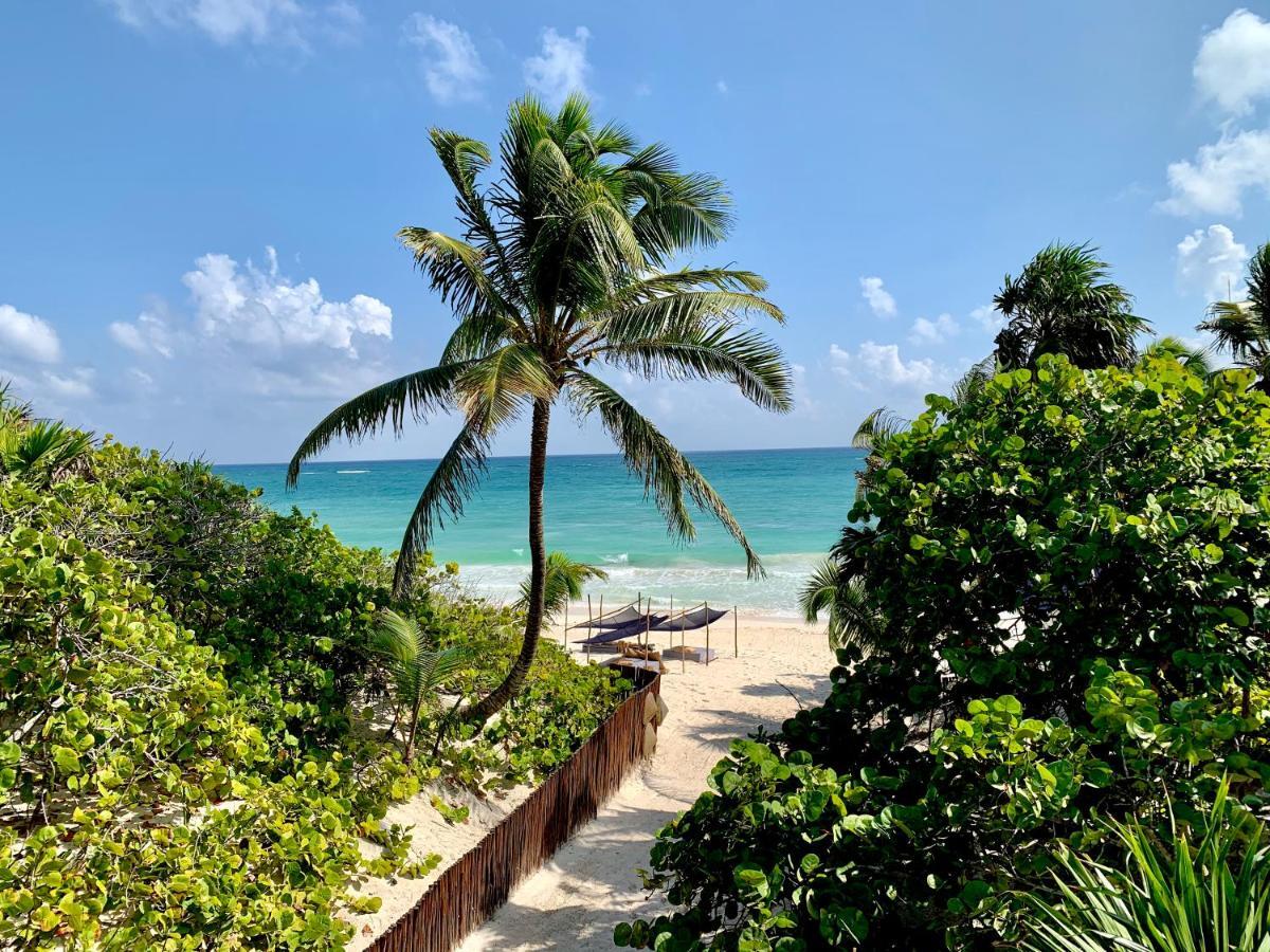 Libelula Tulum Beachfront Hotel Exterior photo