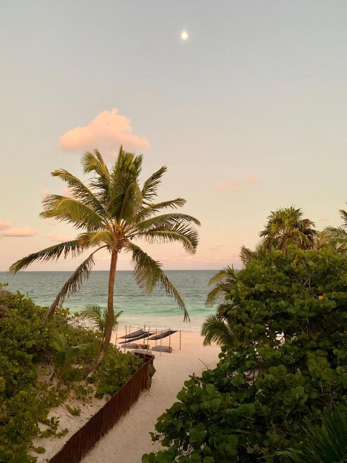 Libelula Tulum Beachfront Hotel Exterior photo