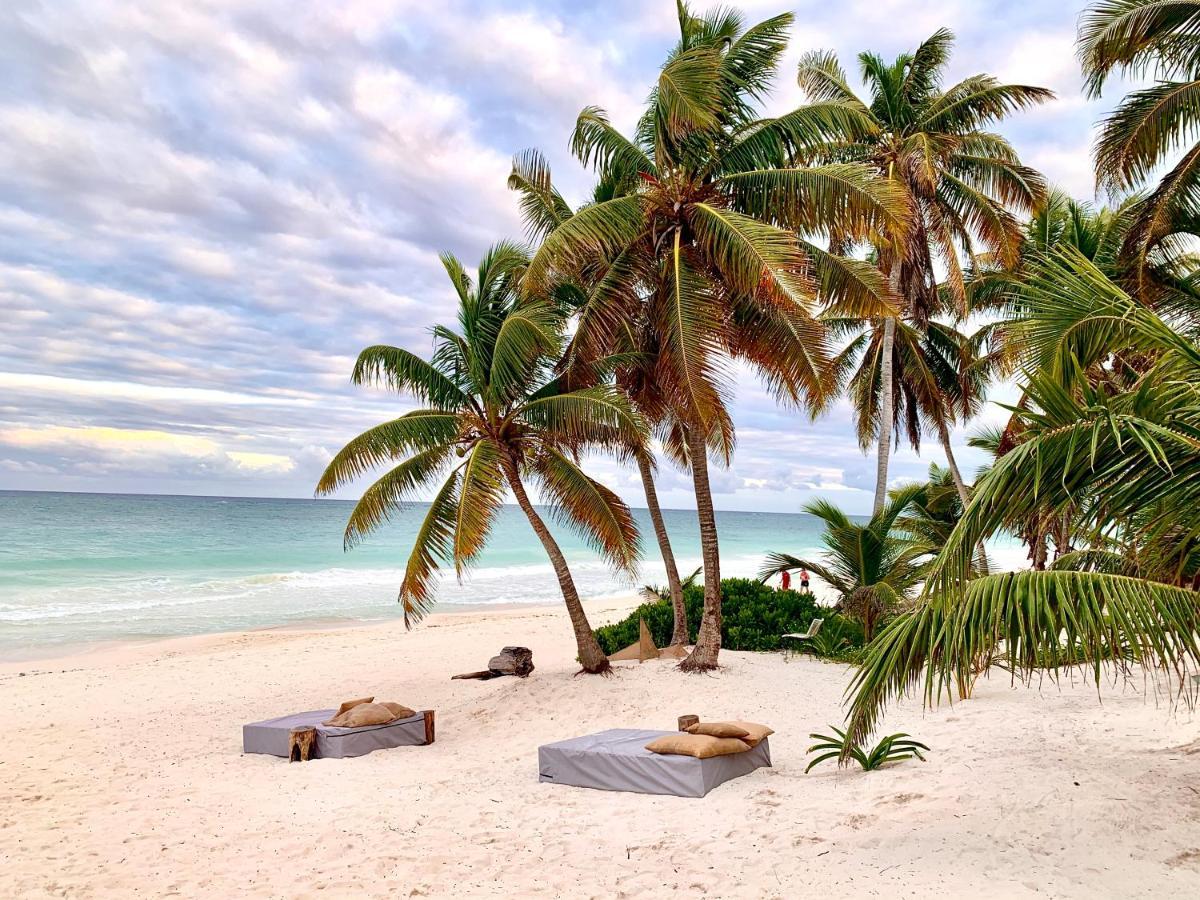 Libelula Tulum Beachfront Hotel Exterior photo